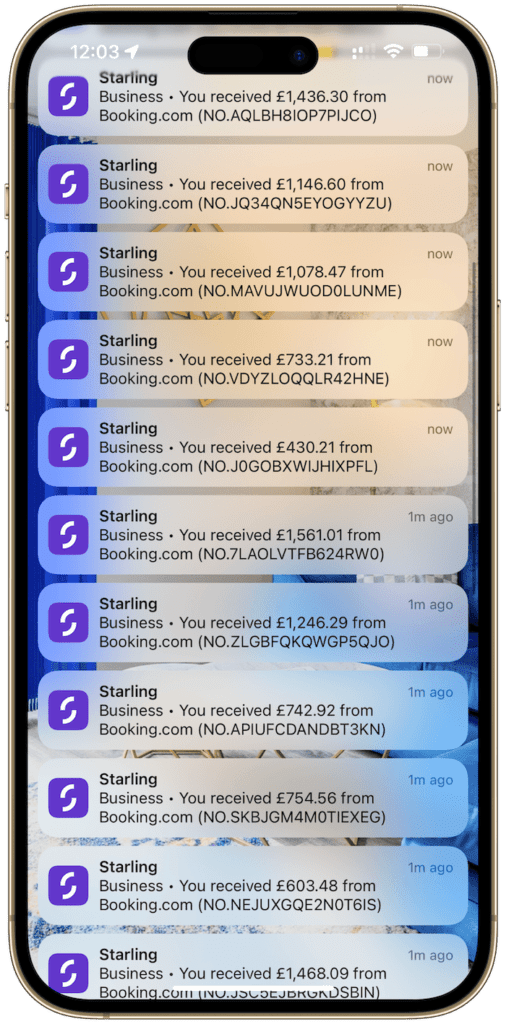 THE SA ROADMAP - PAYMENT NOTIFICATION SCREENSHOTS - 3